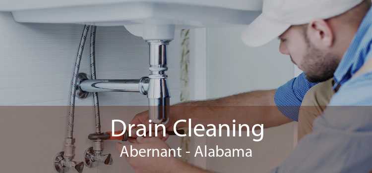 Drain Cleaning Abernant - Alabama