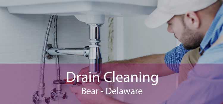 Drain Cleaning Bear - Delaware