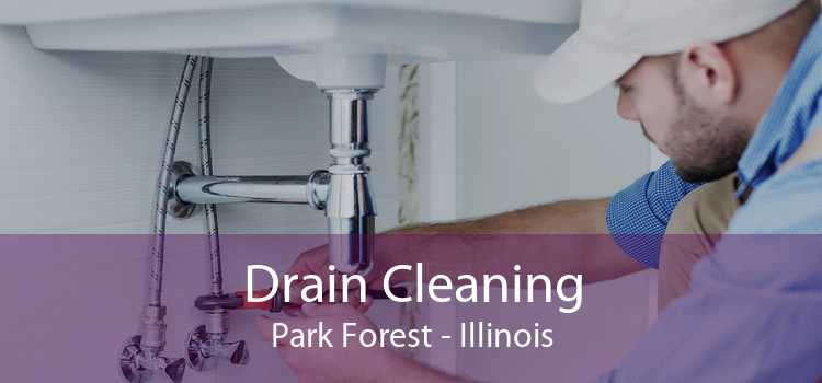 Drain Cleaning Park Forest - Illinois