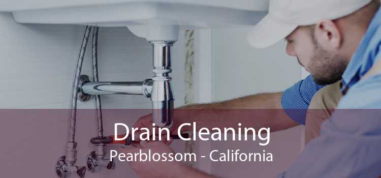 Drain Cleaning Pearblossom - California