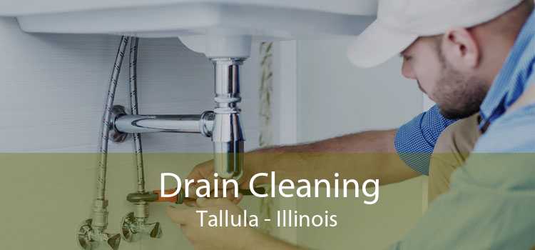 Drain Cleaning Tallula - Illinois
