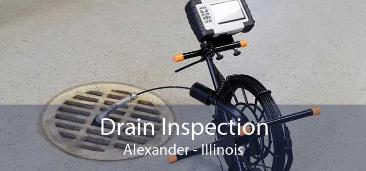 Drain Inspection Alexander - Illinois