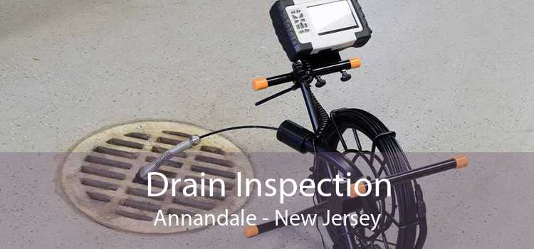 Drain Inspection Annandale - New Jersey