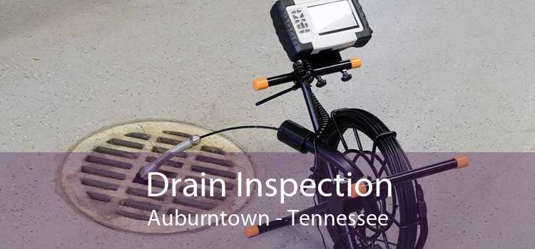 Drain Inspection Auburntown - Tennessee