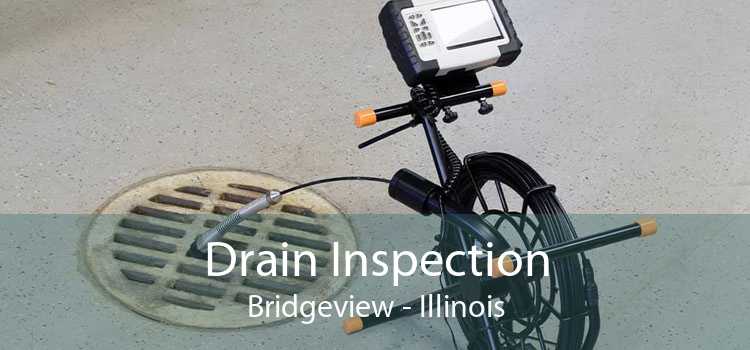 Drain Inspection Bridgeview - Illinois