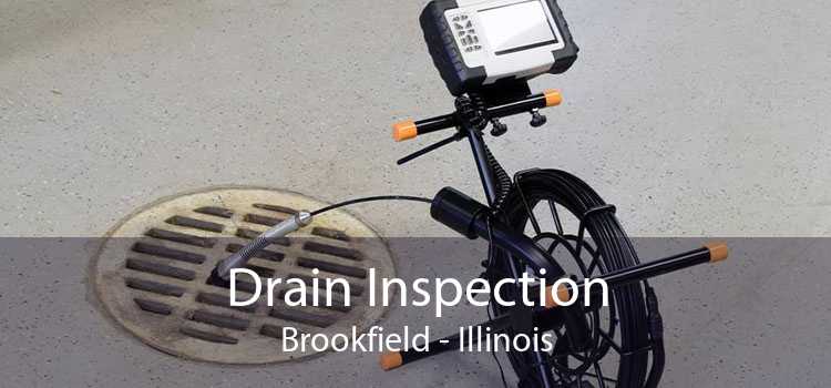 Drain Inspection Brookfield - Illinois