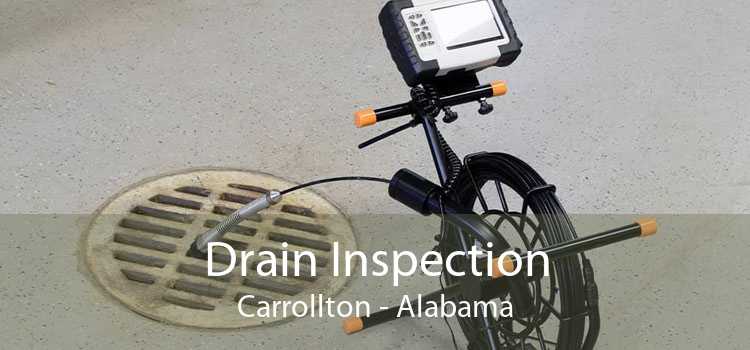 Drain Inspection Carrollton - Alabama