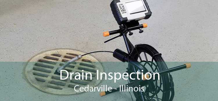 Drain Inspection Cedarville - Illinois