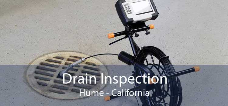 Drain Inspection Hume - California