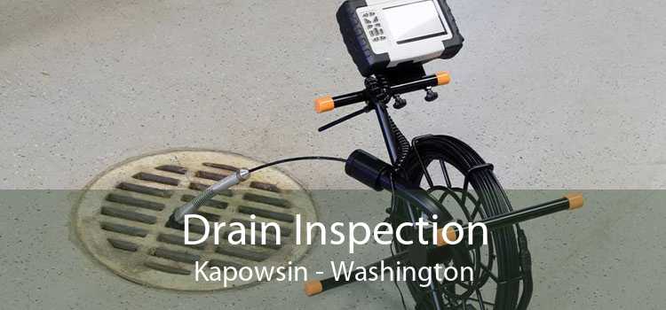 Drain Inspection Kapowsin - Washington