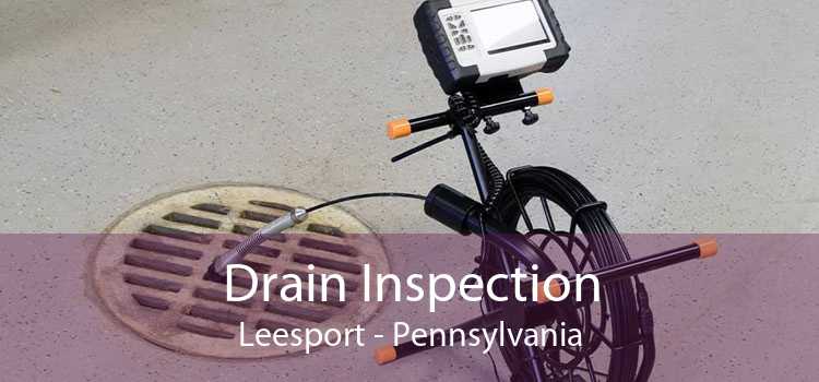 Drain Inspection Leesport - Pennsylvania