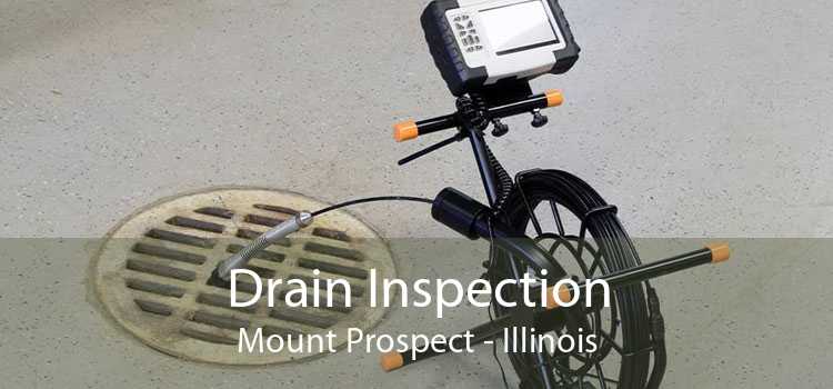 Drain Inspection Mount Prospect - Illinois