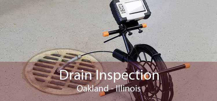 Drain Inspection Oakland - Illinois
