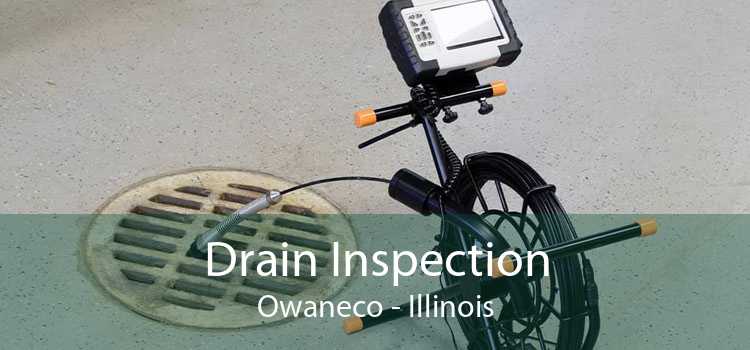 Drain Inspection Owaneco - Illinois