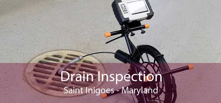 Drain Inspection Saint Inigoes - Maryland
