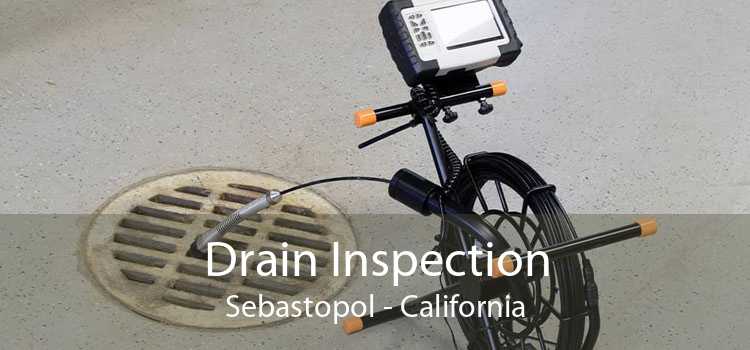 Drain Inspection Sebastopol - California