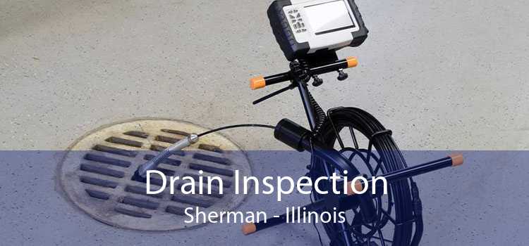 Drain Inspection Sherman - Illinois