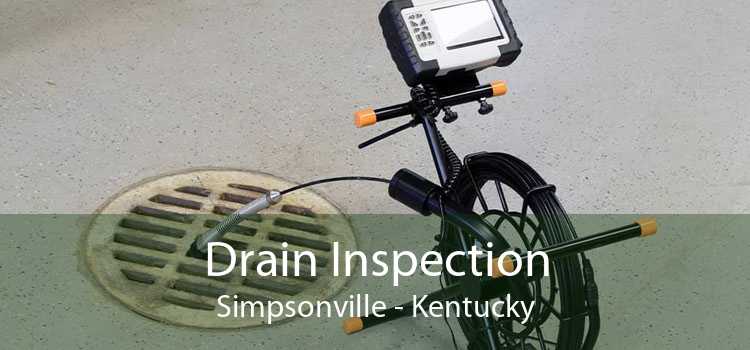 Drain Inspection Simpsonville - Kentucky