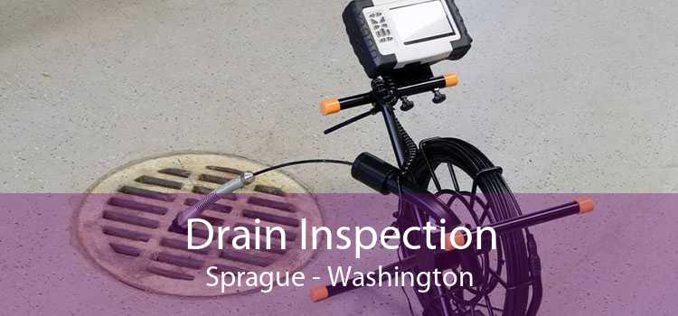 Drain Inspection Sprague - Washington