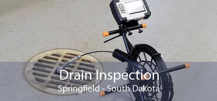 Drain Inspection Springfield - South Dakota