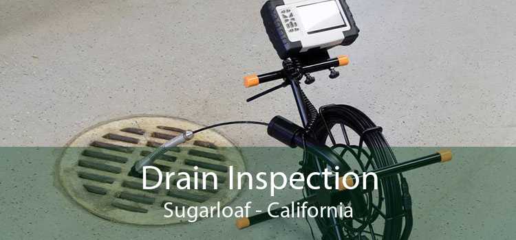 Drain Inspection Sugarloaf - California
