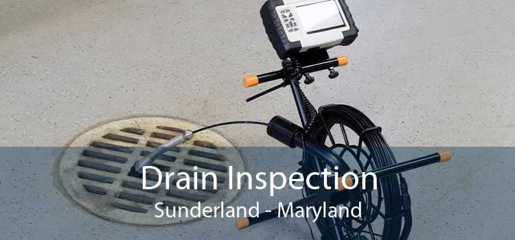Drain Inspection Sunderland - Maryland