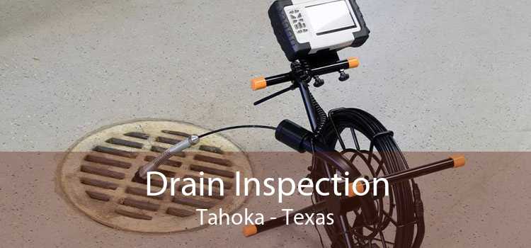 Drain Inspection Tahoka - Texas