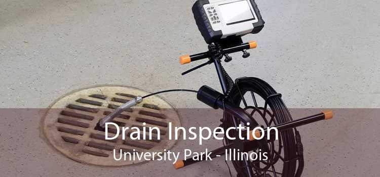 Drain Inspection University Park - Illinois