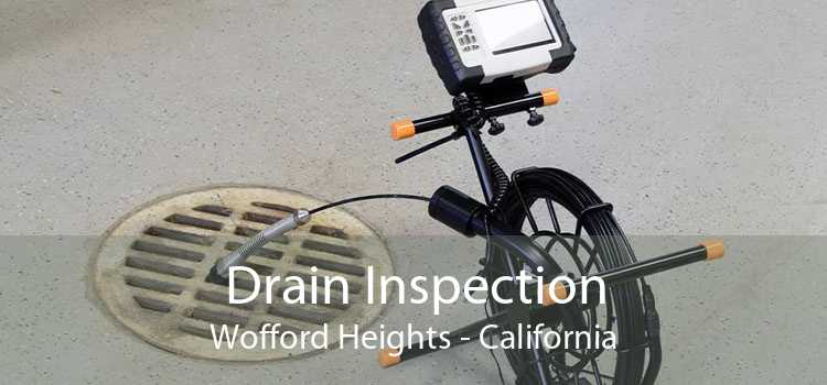 Drain Inspection Wofford Heights - California
