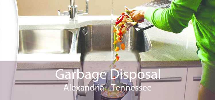 Garbage Disposal Alexandria - Tennessee