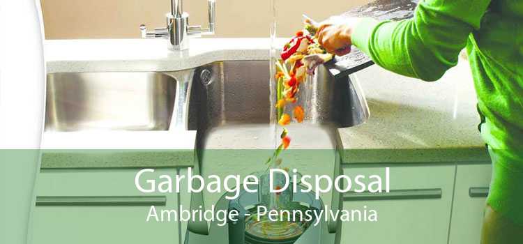 Garbage Disposal Ambridge - Pennsylvania