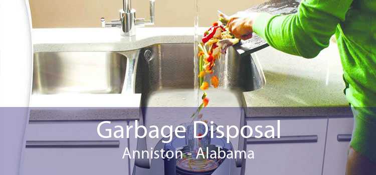 Garbage Disposal Anniston - Alabama