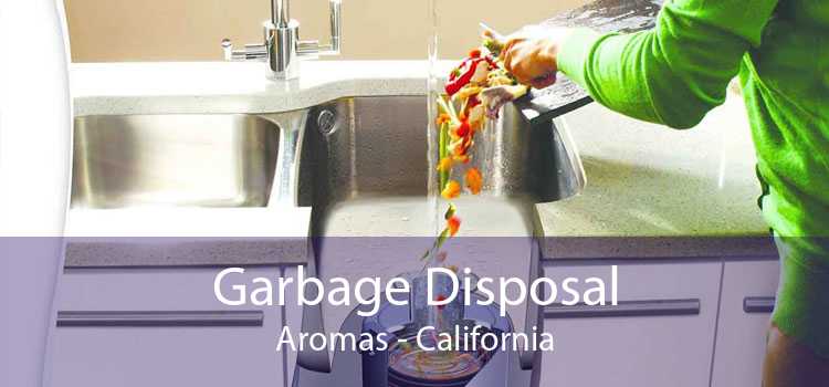 Garbage Disposal Aromas - California