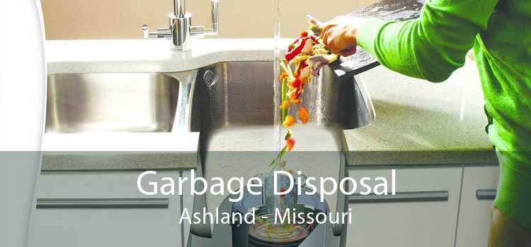Garbage Disposal Ashland - Missouri