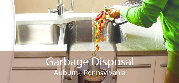 Garbage Disposal Auburn - Pennsylvania