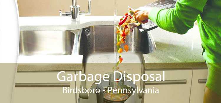 Garbage Disposal Birdsboro - Pennsylvania