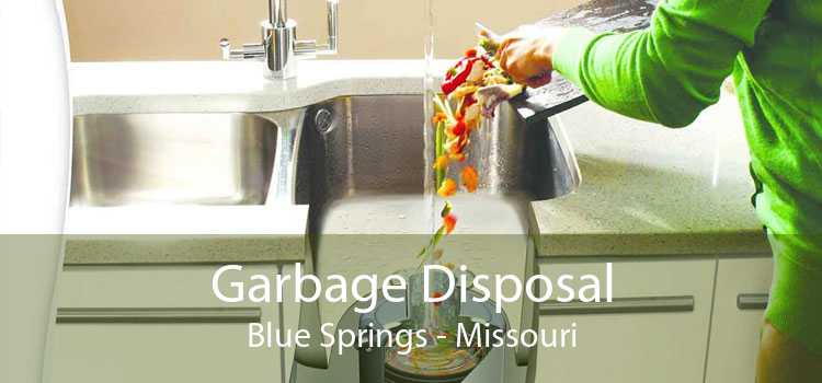 Garbage Disposal Blue Springs - Missouri