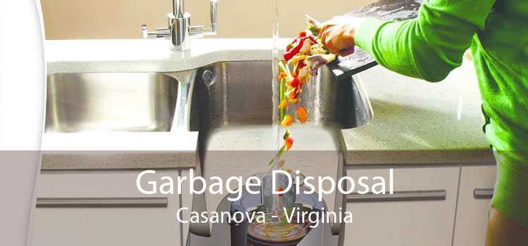 Garbage Disposal Casanova - Virginia