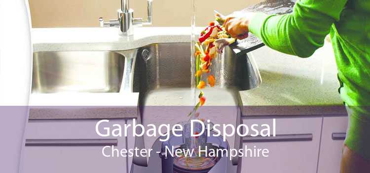 Garbage Disposal Chester - New Hampshire