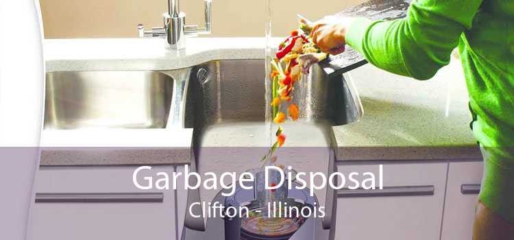 Garbage Disposal Clifton - Illinois