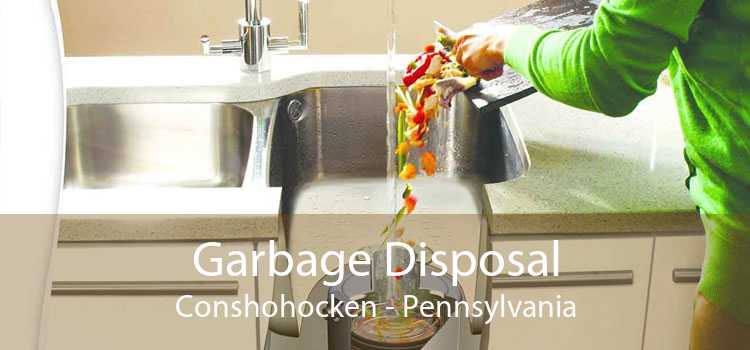 Garbage Disposal Conshohocken - Pennsylvania