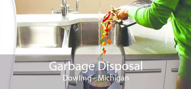 Garbage Disposal Dowling - Michigan