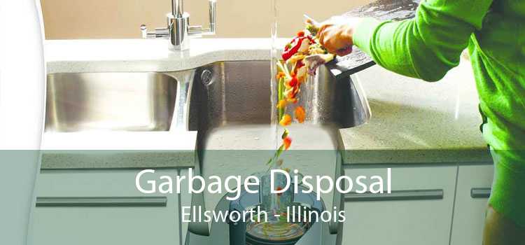 Garbage Disposal Ellsworth - Illinois