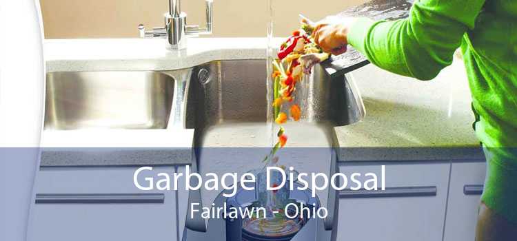 Garbage Disposal Fairlawn - Ohio