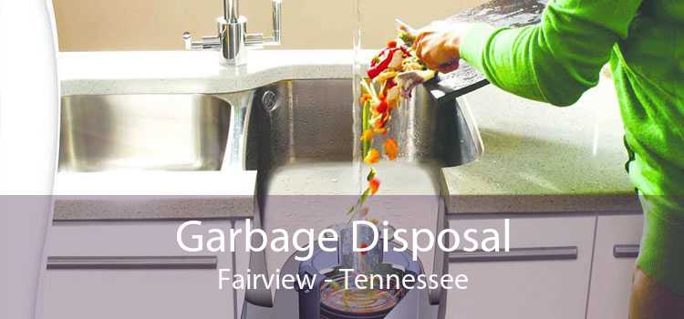 Garbage Disposal Fairview - Tennessee