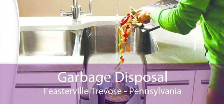 Garbage Disposal Feasterville Trevose - Pennsylvania