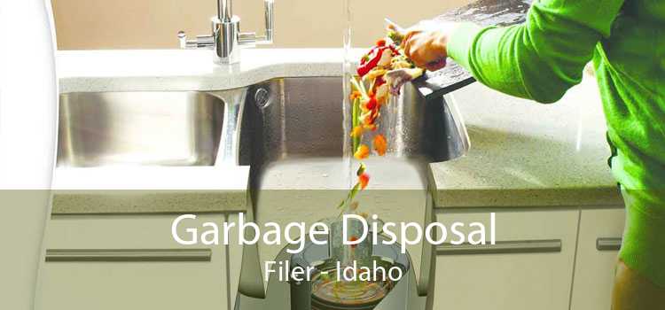 Garbage Disposal Filer - Idaho