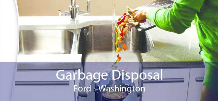 Garbage Disposal Ford - Washington