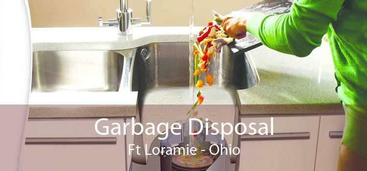 Garbage Disposal Ft Loramie - Ohio