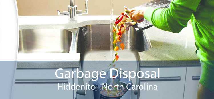 Garbage Disposal Hiddenite - North Carolina